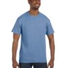 Variation picture for Light Blue